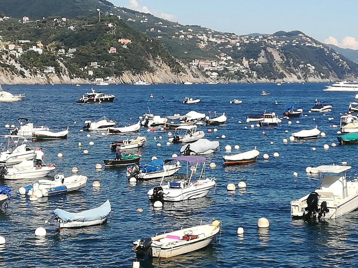 Residence Portofino Est Cod L07441 ラッパロ エクステリア 写真